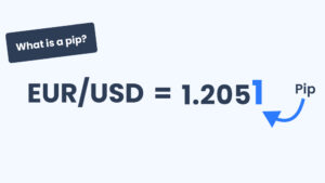 什麼是 PIPS